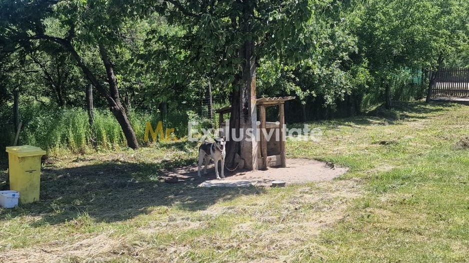 Proprietate în Comuna Botești, Județul Argeș – Zonă Pitorească și Liniștită ! - Poză 20
