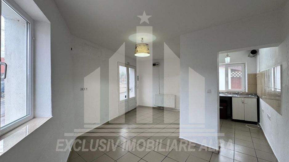 Spatiu comercial | Spatiu birouri | Curte | Terasa | Sebes - Poză 2