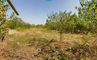 Oportunitate de investiţie, casă cu teren,  în Şuştra, Timiş - Poză 1