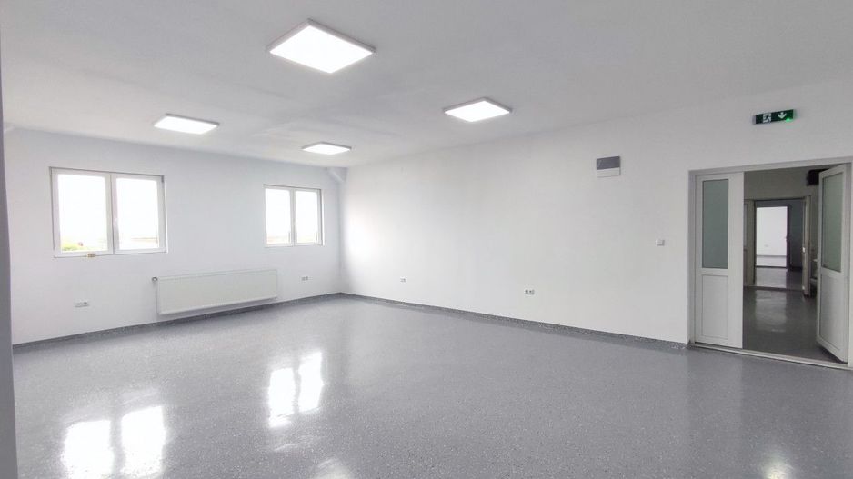 Inchiriere Spații de Birouri/Producție - Str. Uzinei - Carei - Comision 0% - Poză 20