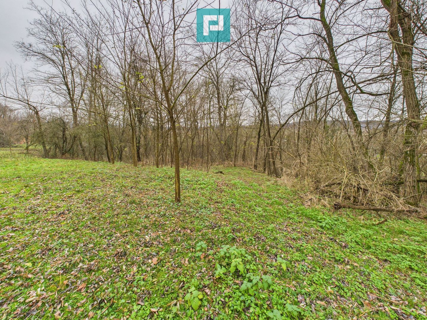 Casă cu teren de 24.679,73 mp, în Hălmagiu, Arad - Poză 35