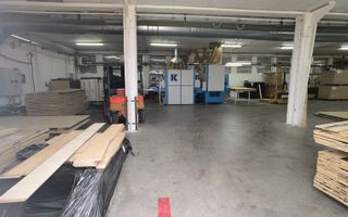 Proprietate industriala la 30 km exterior sud Timisoara - Poză 19