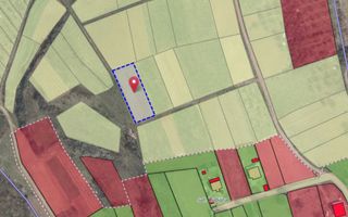 Tabăra/Orhei | 11,62 ari | Teren în inima Codrilor – Ideal pentru evadare în natură sau investiție - Poză 6