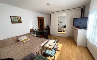 Casa de vanzare pretabila 2 familii, garaj, livada, comuna Pianu - Poză 18