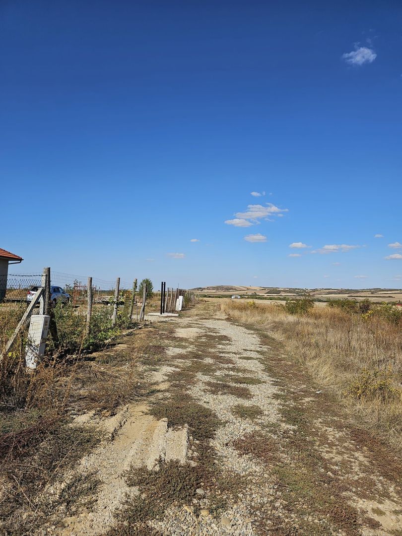 Teren Intravilan Paleu 1025 mp - Poză 1