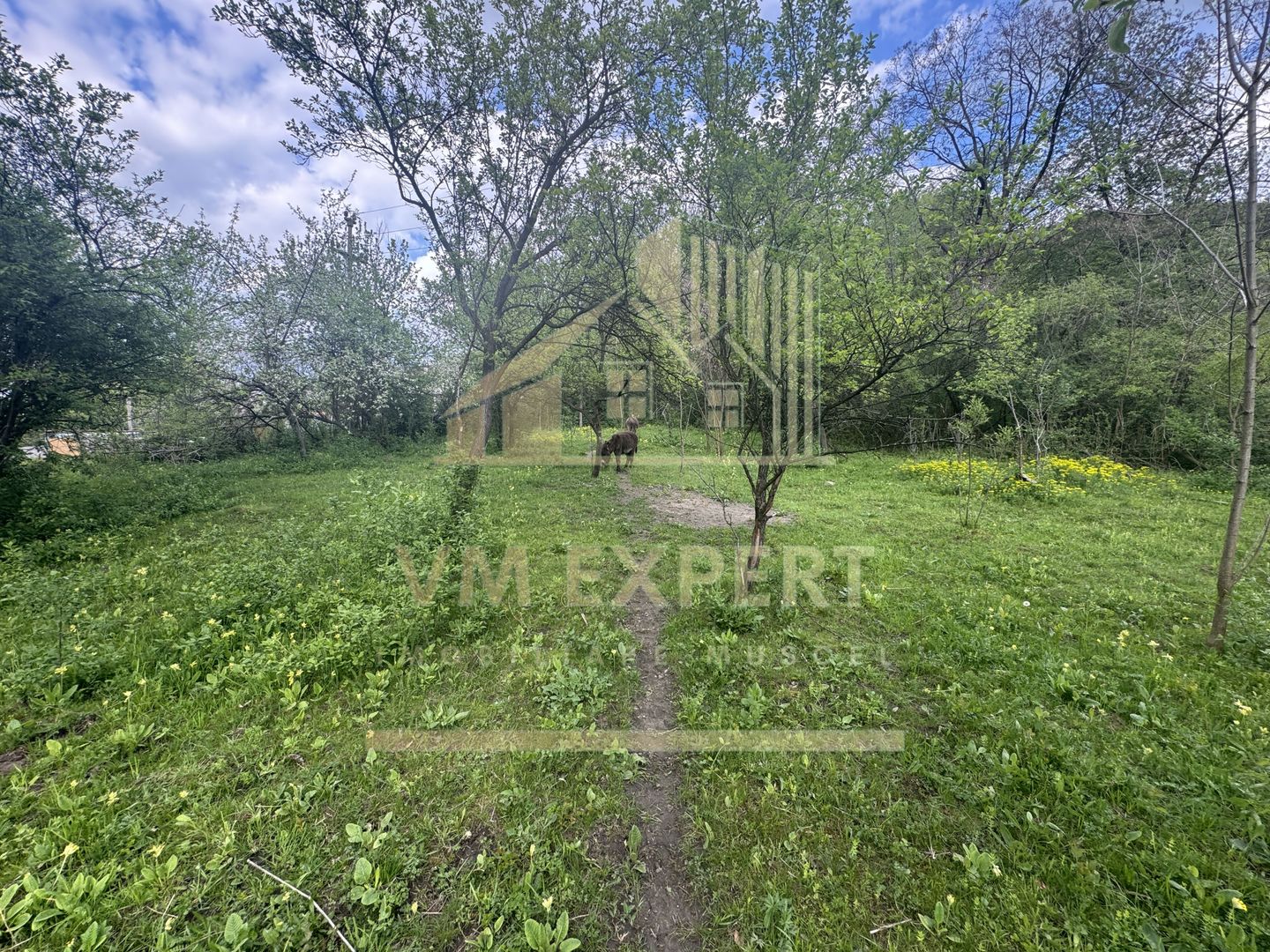 TEREN INTRAVILAN 7018 MP CAMPULUNG - Poză 26