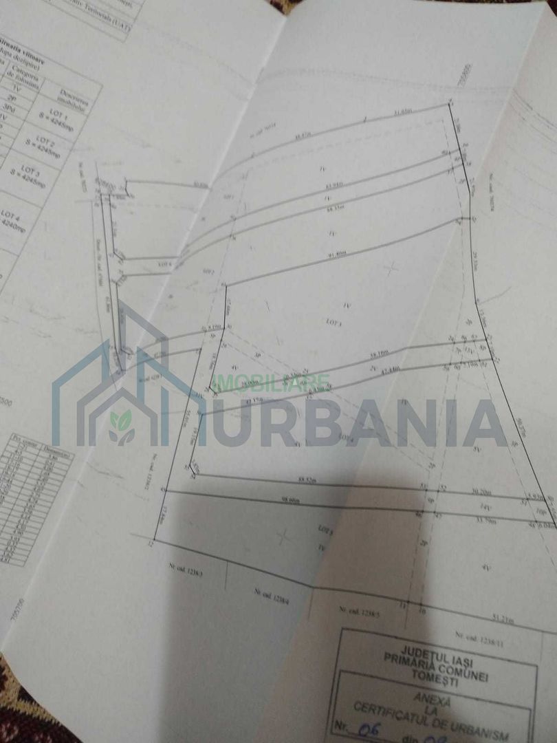 Teren de vânzare în Tomești, zona Deal, strada Brăduțului - Poză 1