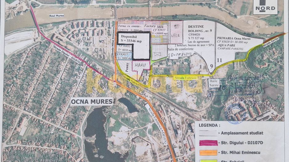 Oportunitate de Dezvoltare Industrială & Comercială - Ocna Mures - Poză 2