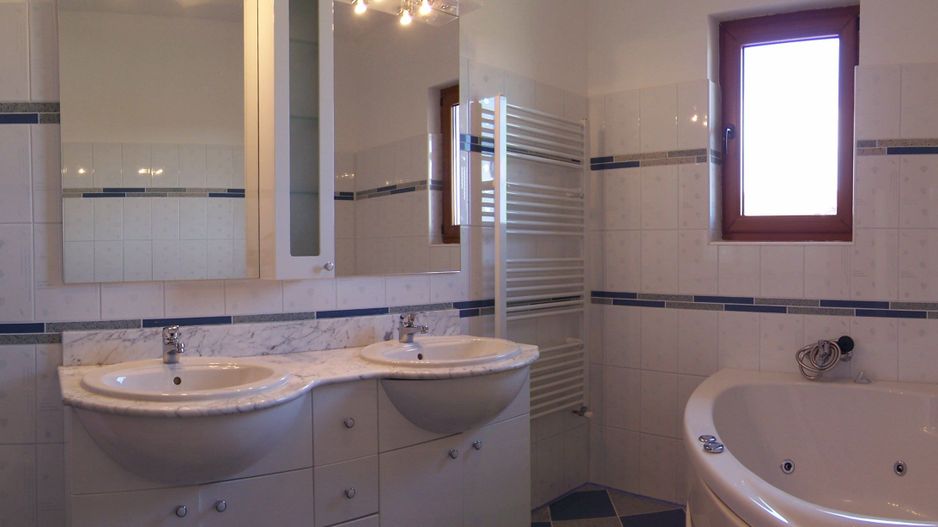 Vila Snagov langa padure / lac - Poză 8