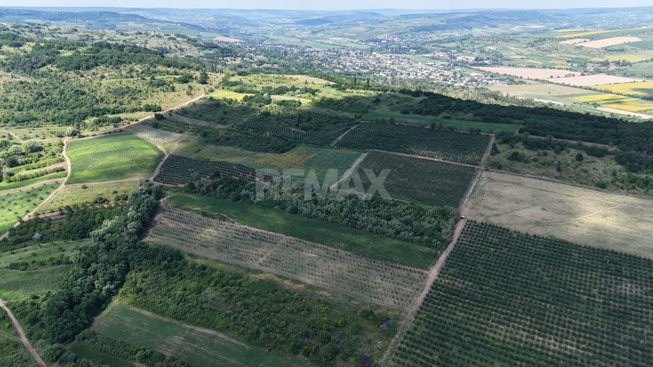Teren de 6.2 Hectare cu Iaz propriu, lângă pădure – Vorniceni, Strășeni! - Poză 5