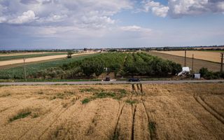 Livadă de nuci altoită și ecologică 2.5ha - Poză 10