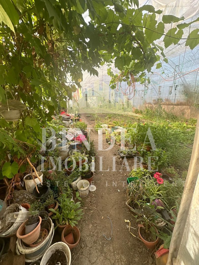 Casa individuala 4 camere- 133mp utili, teren 1052mp - Poză 4
