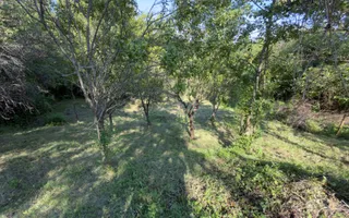 TEREN 3200 MP GODENI ARGEȘ - Poză 13