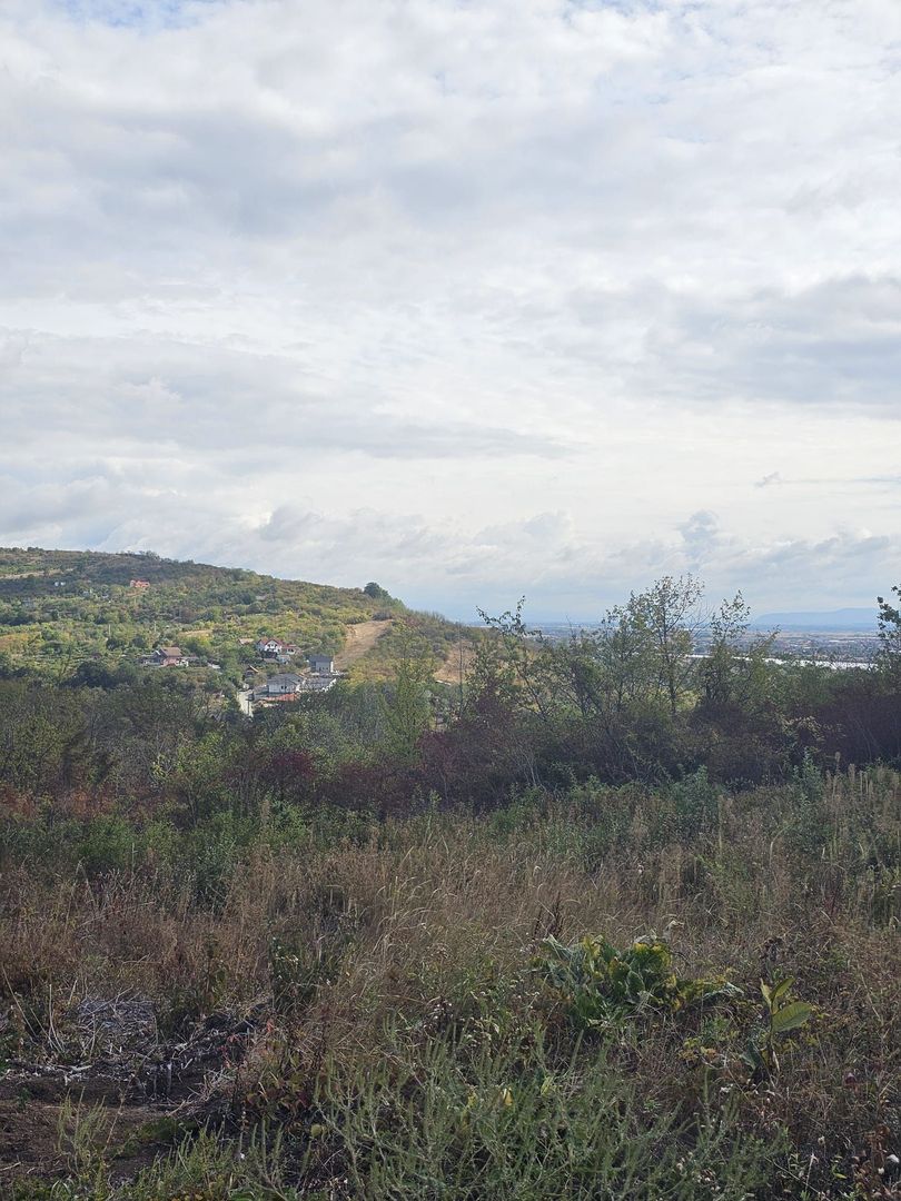 Teren intravilan Podgoria 7000mp - Poză 3