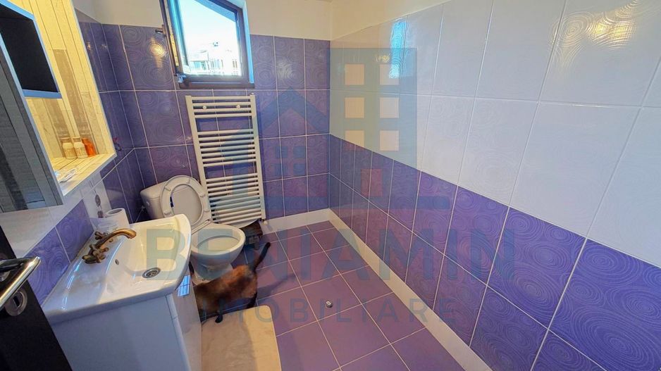 Casa P+M-Zona Hanul Doctorului-Teren 500mp-Toate Utilitatile-2010 - Poză 14