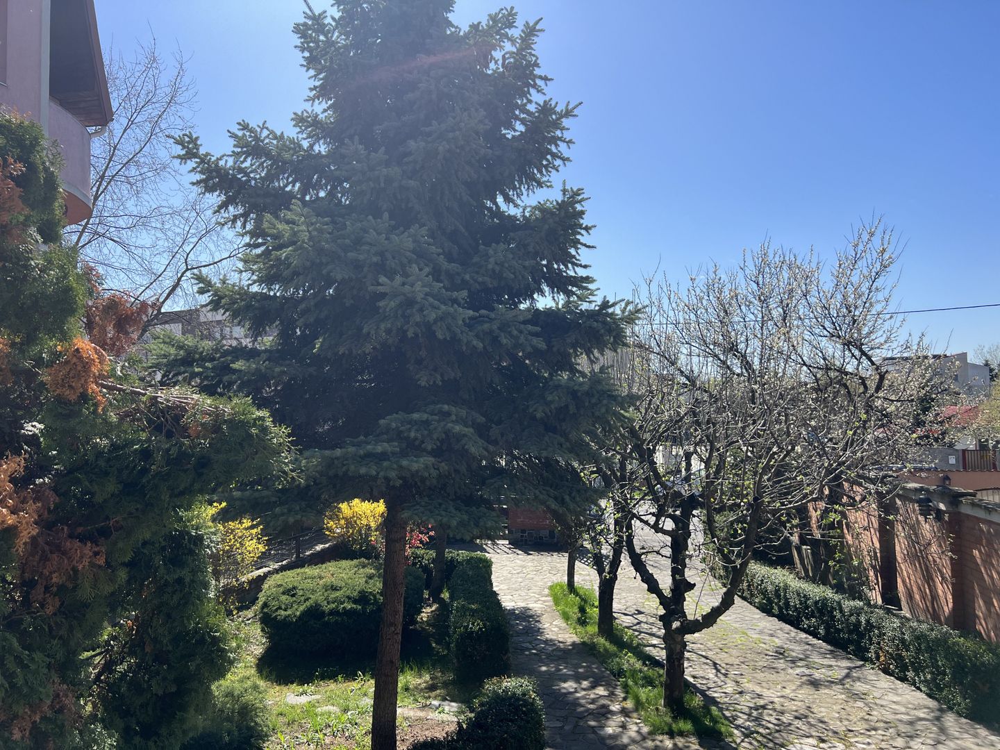 Vila superba Baneasa - Dobrogeanu Gherea - Poză 30