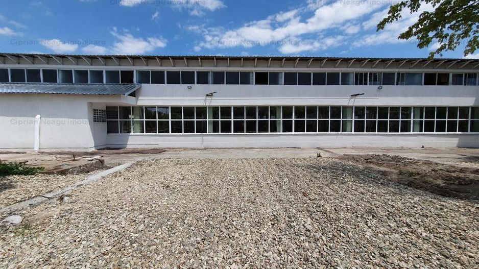 Hala Depozitare de Inchiriat Pitesti - Poză 2
