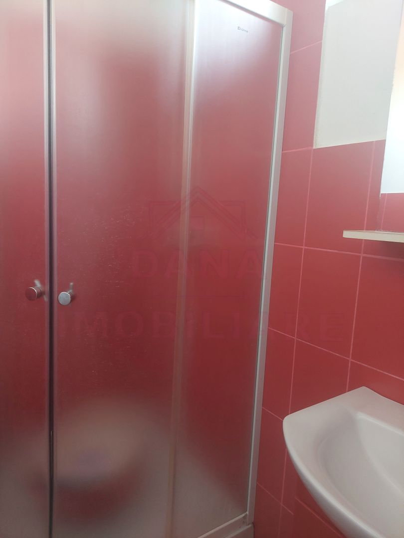 CASĂ PĂLTINIȘ\JUD. CARAȘ-SEVERIN\ COMISION 0% - Poză 13