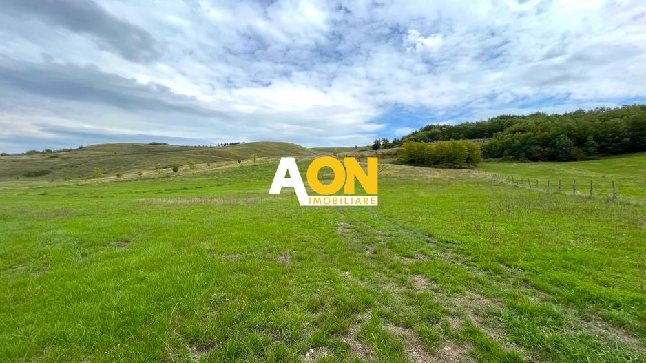 Teren de vanzare in Ciugud, 4200MP, Priveliste, Padure - Poză 1