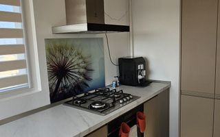 Apartament 2 camere de inchiriat Central Address Residence parc Carol - Poză 5