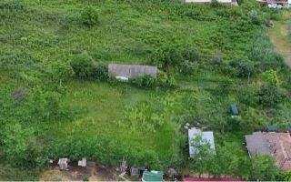 Teren extravilan de vânzare în zona Breazu, județul Iași - Poză 3
