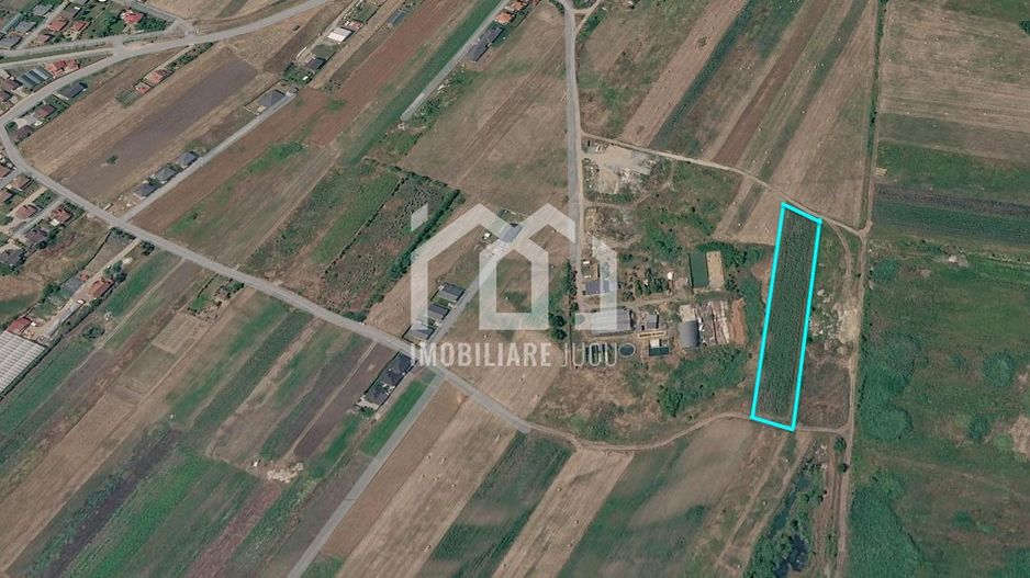 🔥 5.800 mp | Front 30 m | 20EUR/mp | Jucu de Mijloc - Poză 6