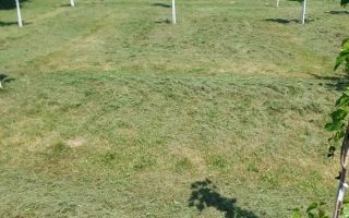 Casa Individuala I 3 Camere I Teren 2210 MP I Sacel - Poză 9