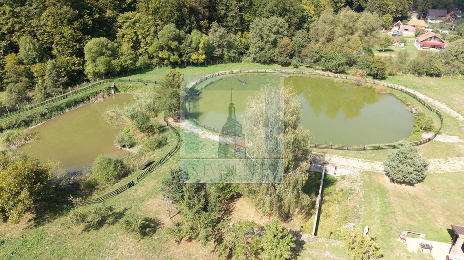 Complex Turistic activ,  2 lacuri ,teren 16800 mp -zona Valea Dobârlău - Poză 12
