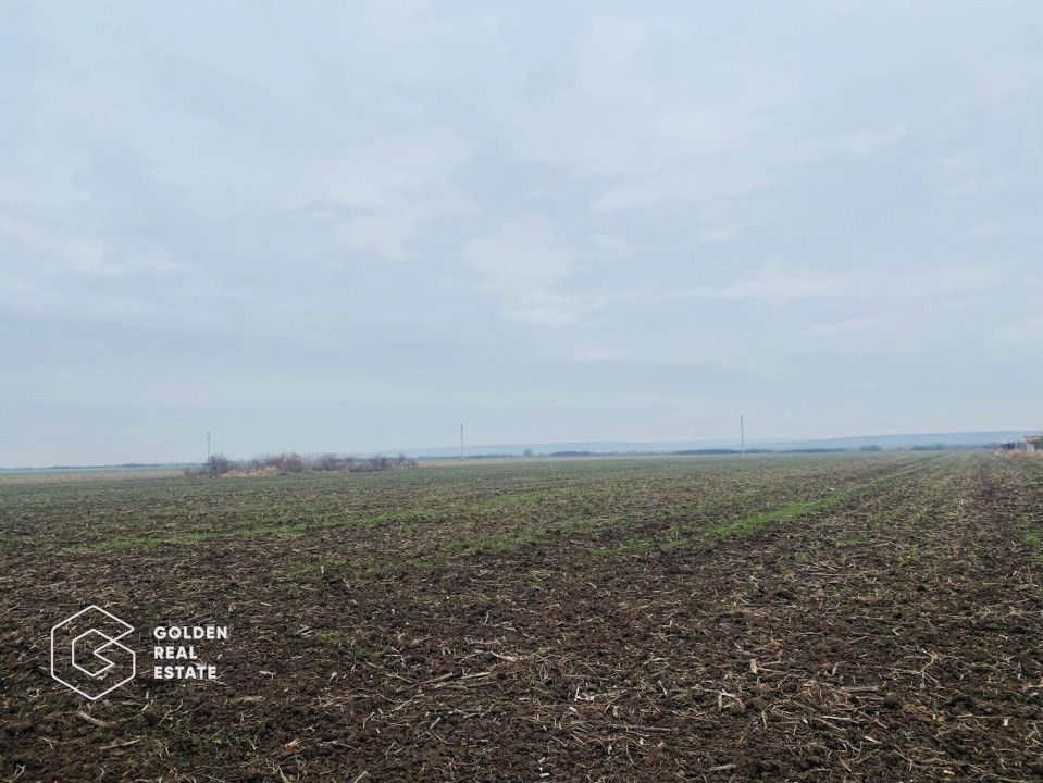 Teren, Intrare Recas, Drumul E70 - Poză 1