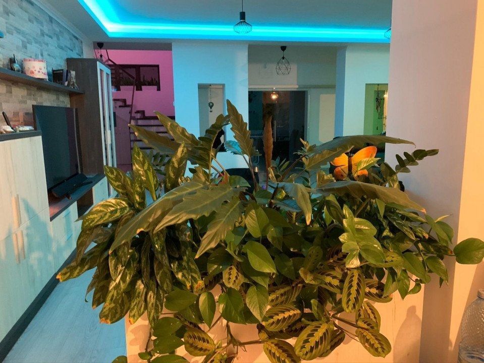 Balotesti vila de lux 8 camere, 450mp utili, la 20 min de Bucuresti - Poză 11