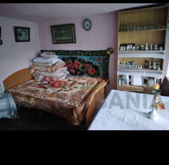 Casă de vânzare în satul Mânjești, comuna Mogoșești, județul Iași - Poză 5