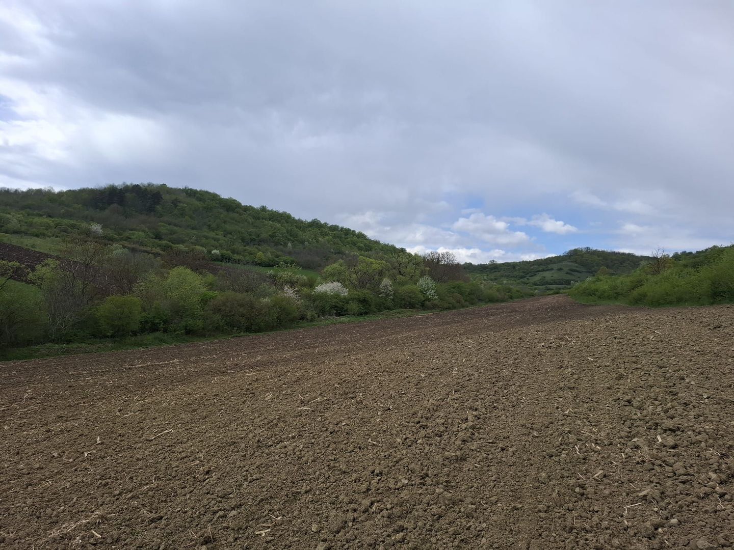Teren extravilan arabil - Sibiu - Gusterland - Poză 4