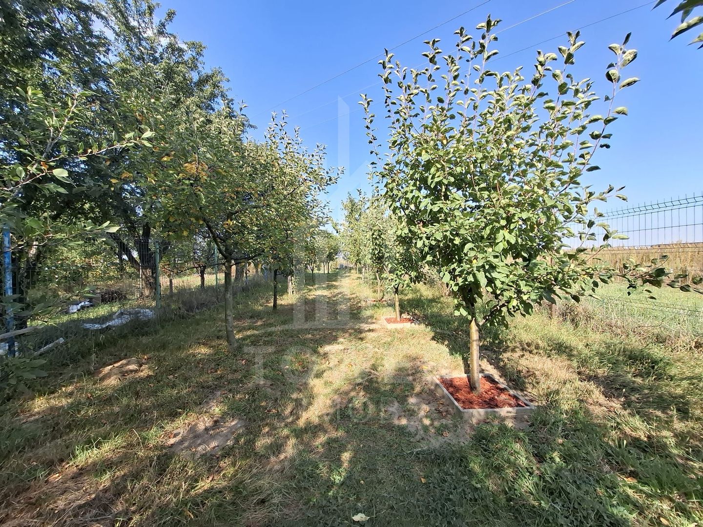 De vânzare casă în Orlat, cu teren generos de 2200 mp și panoramă deosebită! - Poză 18
