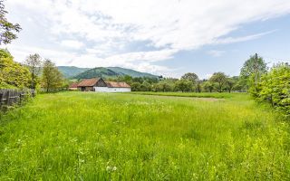 Teren intravilan, in impresionat cadru natural,Central, Sinca Noua,Brasov - Poză 6
