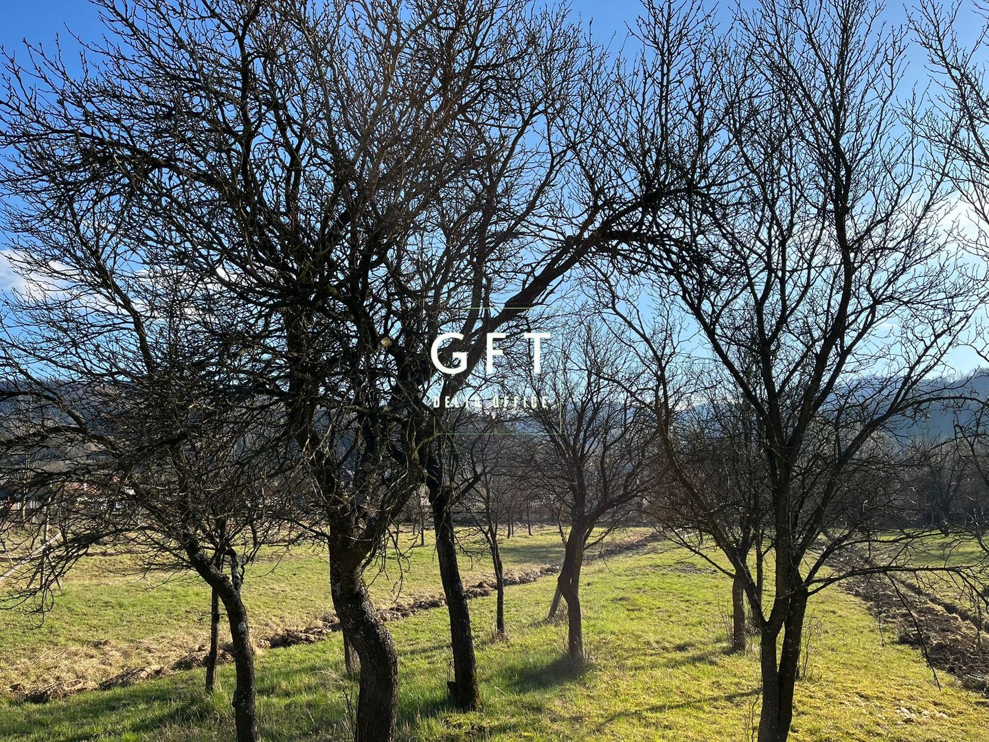 Teren Parcelabil Bistrita Bargaului - Poză 3