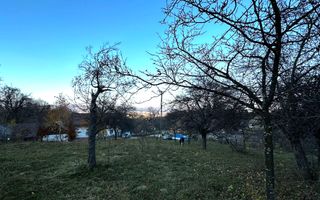 Teren Intravilan cu 2 Deschideri 4000mp Predelut-Bran | GOPO - Poză 12