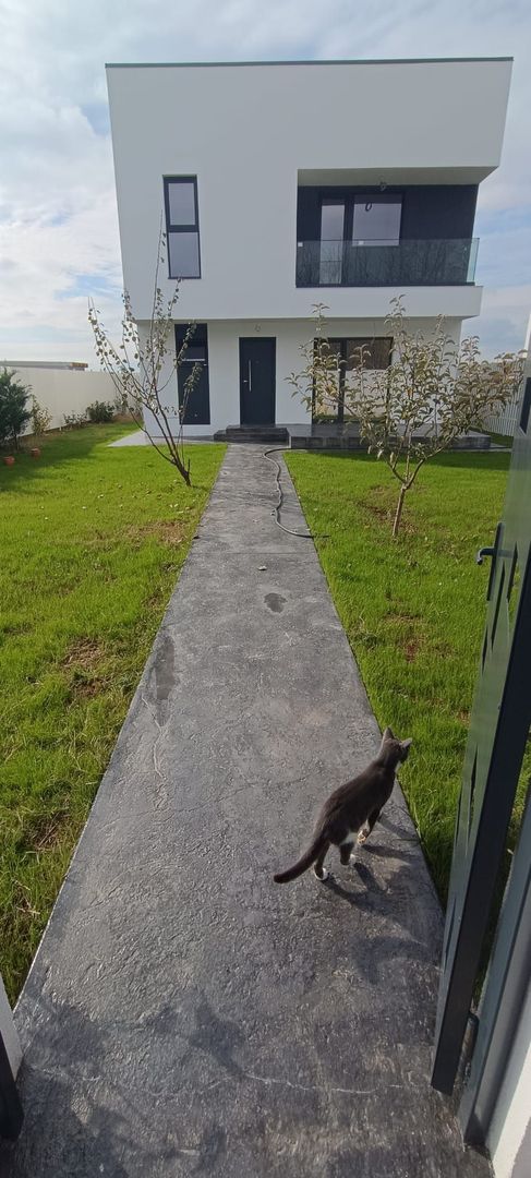 CASA DE LANGA PADURE, Clinceni str. Mierlei 73J - Poză 5