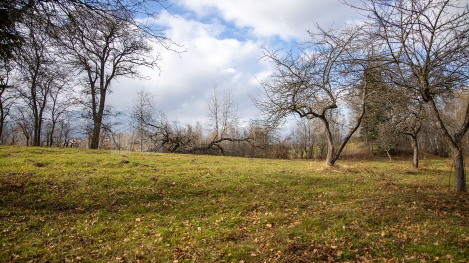 Teren intravilan, cu PUZ, Bran Tohanita,  SE ACCEPTĂ ȘI SCHIMB - Poză 21