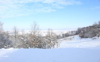 Proprietate rară | 4458 mp teren intravilan | Casă solidă, natură, liniște totală. | Bratca, Bihor. - Poză 59