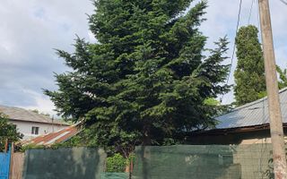 Teren intravilan 190 mp curti constructii - Lac Plumbuita - Poză 1