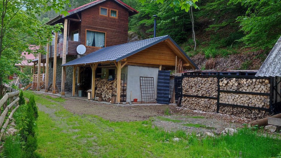 Cabana din Vis Arieseni (Garda de Sus) - Poză 23