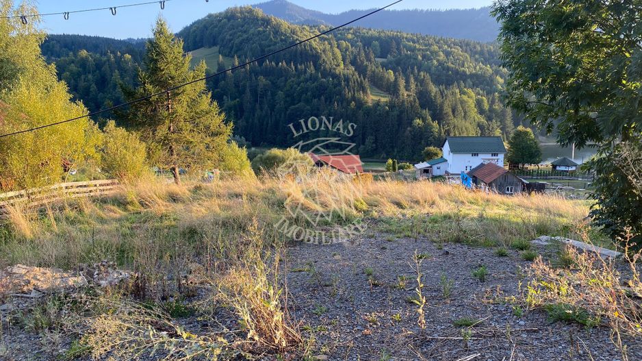 Teren Intravilan 1000mp-panorama-oportunitate investitie-Colibita - Poză 2