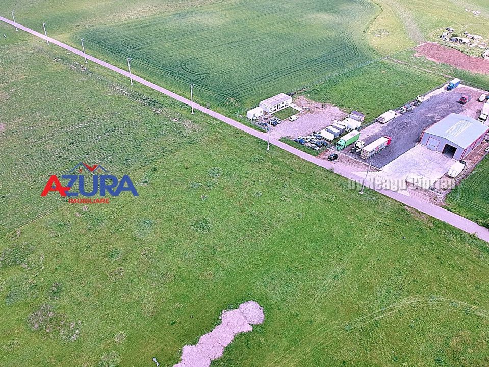 Vanzare  teren industrial, pretabil constructie hale - Poză 4