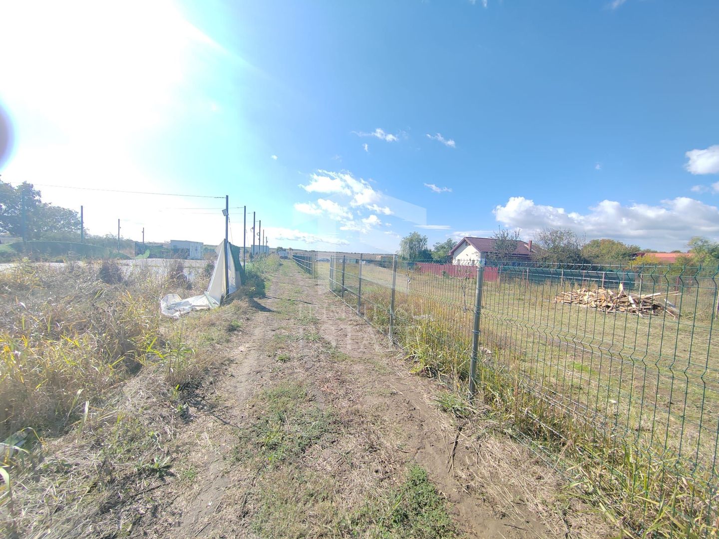 Gagu Dascalu teren ideal pentru investitie zona in dezvoltare - Poză 4