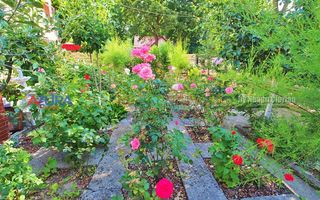 AZURA Imobiliare Pitesti - Casa Gavana Pozitie Excelenta - Poză 66