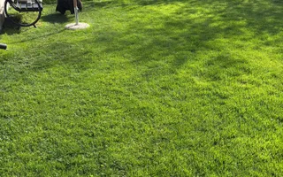 Proprietate tip sasesc cu 2 corpuri de casa, Comuna Vulcan,Brasov. - Poză 12