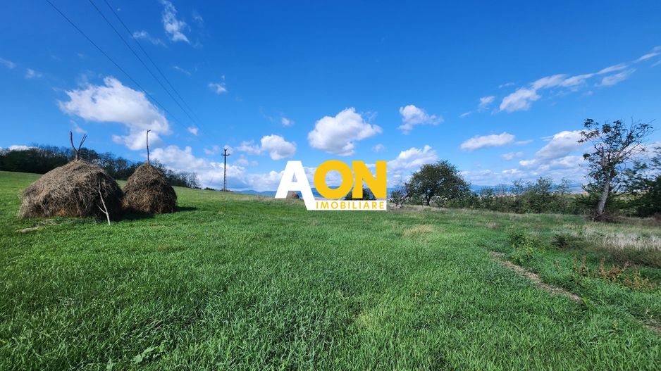 De vanzare 2965 mp teren intravilan, toate utilitatile, Oarda de Sus - Poză 7