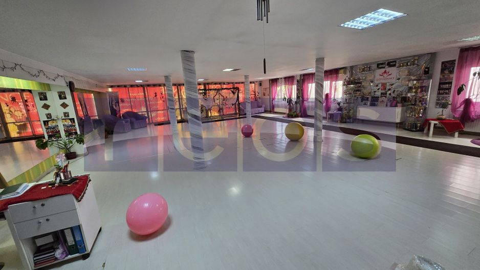INCHIRIERE SPATIU BIROURI | ZONA PIATA ALBA IULIA - Poză 2