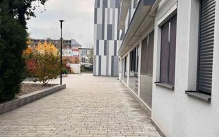 Studio Premium Erou Iancu Nicolae Pipera - Poză 5