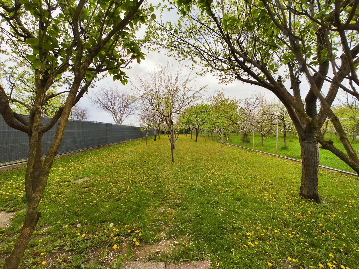 Spațiu comercial, hală și apartamente Aradul Nou - Poză 14